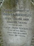 image of grave number 259253